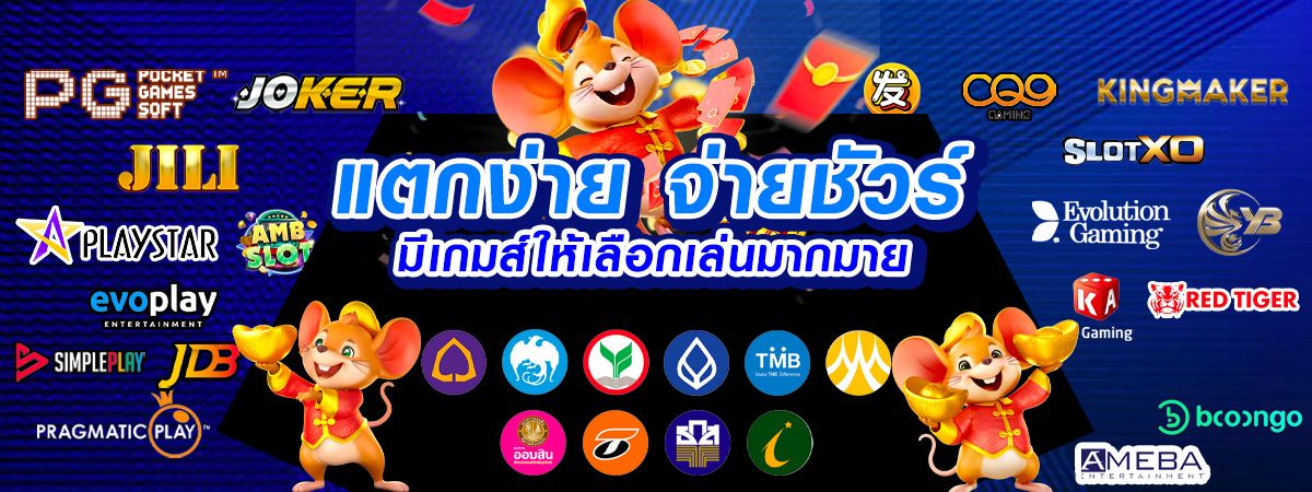 ถุงเงินสล็อต